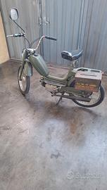 Motorino rizzato califfo