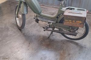 Motorino rizzato califfo