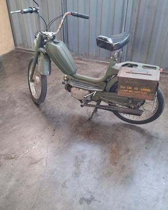 Motorino rizzato califfo