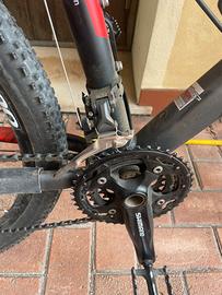 Mtb  triestina wilier