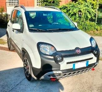 Fiat Panda Cross 1.0 70cv Hybrid PERFETTE CONDIZIO
