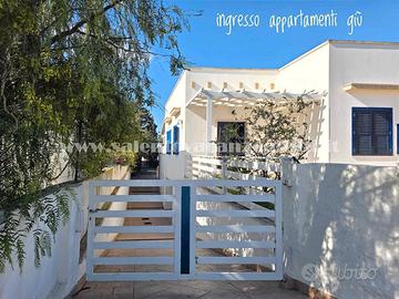 150m spiaggetta mancaversa centro 2 app 4p cadauno