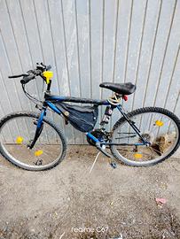 bicicletta 