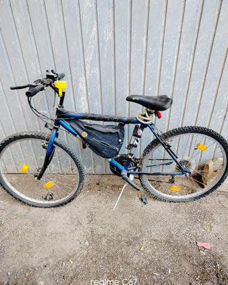 bicicletta 