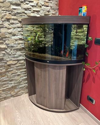 Acquario Juwel Trigon 190 Led