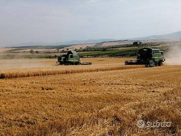 Terreno agricolo seminativo