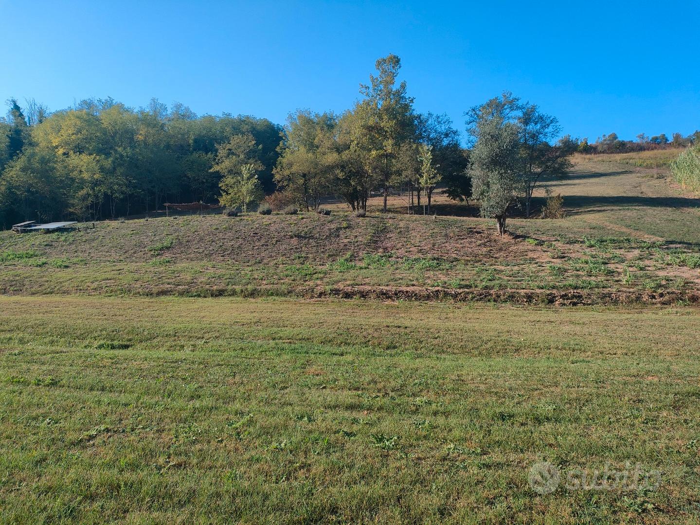2 terreni agricoli a Lari (pi) - Vista 2