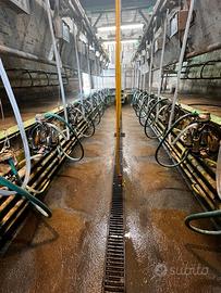 Sala di mungitura Westfalia