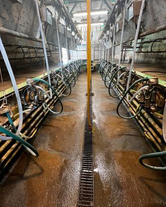 Sala di mungitura Westfalia