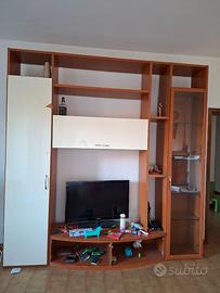 Mobile porta tv