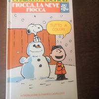 libro a fumetti personaggi dei Peanuts.  