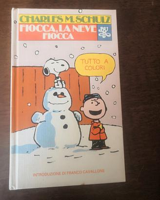 libro a fumetti personaggi dei Peanuts.  