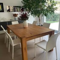 Sedie in cuoio bianco