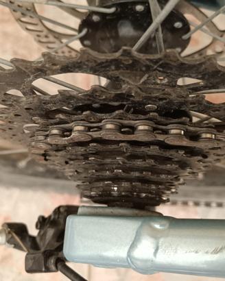 Bici mtb