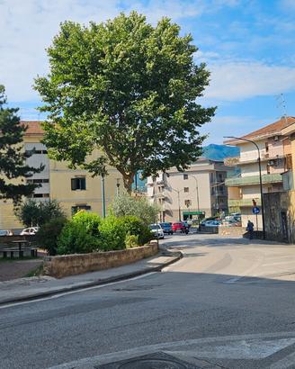 Appartamento ampio