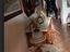 Immagine 14