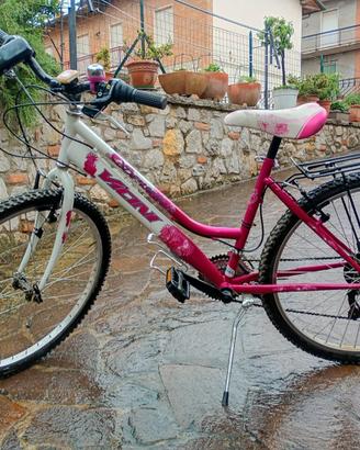 bicicletta