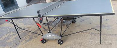 Tavolo da ping pong