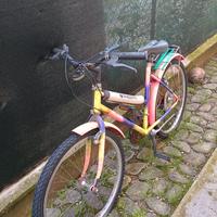 Bicicletta donna