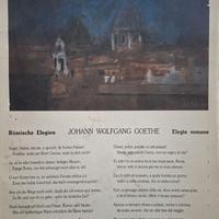 Johann Wolfgang Goethe - Elegie Romane