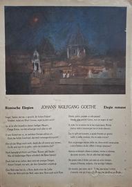 Johann Wolfgang Goethe - Elegie Romane