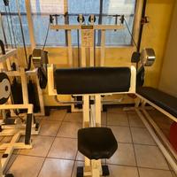 Palestra completa professionale