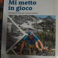 mi metto in gioco libro