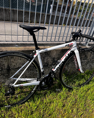 Bici da corsa