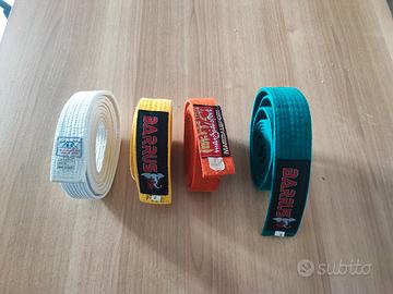 Cinture Karate