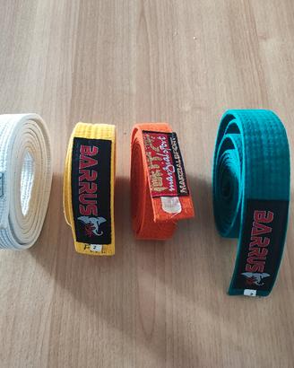 Cinture Karate