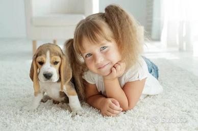 Grafico esperto in Photoshop (in prova gratis)