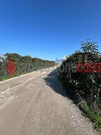 Battipaglia- capannone agricolo
