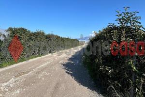 Battipaglia- capannone agricolo
