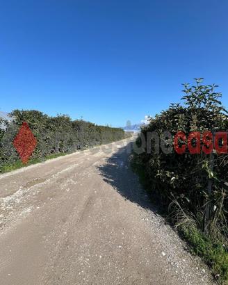 Battipaglia- capannone agricolo