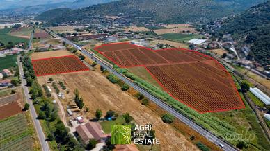 Terreno agricolo pianeggiante di 10 ettari