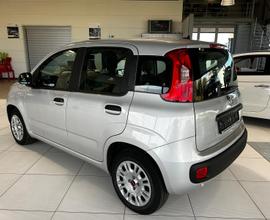 FIAT Pand1.2 lounge 69cv