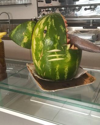 Barista barman esperto