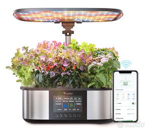 Idroponica kit coltivazione indoor per Natale