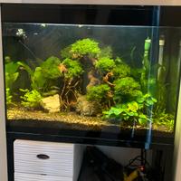 Acquario Askoll XL HC - perfett funzionante 130 Lt