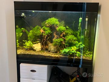 Acquario Askoll XL HC - perfett funzionante 130 Lt