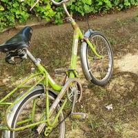 Bici Graziella Cinzia 