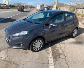 Ford Fiesta 1.5 TDCi 75CV 5 porte Titanium