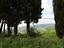 Immagine 8