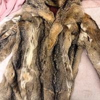 Pelliccia di lupo siberiano