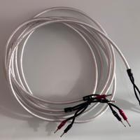 Chord ClearwayX 3m - 2 cavi potenza per diffusori