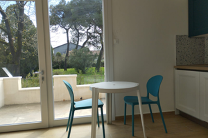 Estate 2026 monolocale con giardino Ca' Savio