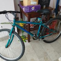 Bicicletta da ragazzo con ruote da 26'