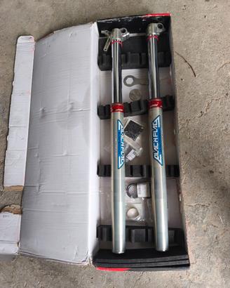 forcelle wp cone valve