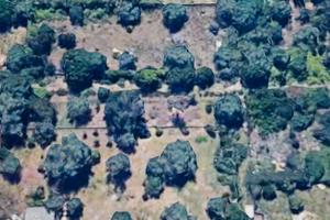 Terreno Agricolo