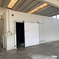 cella frigorifera di circa mq 100